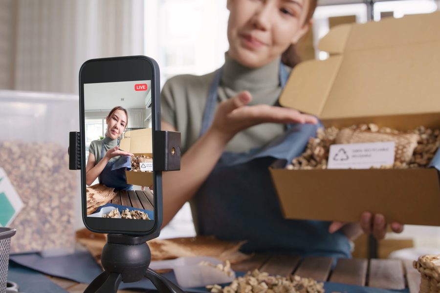 Influencer for Small Business